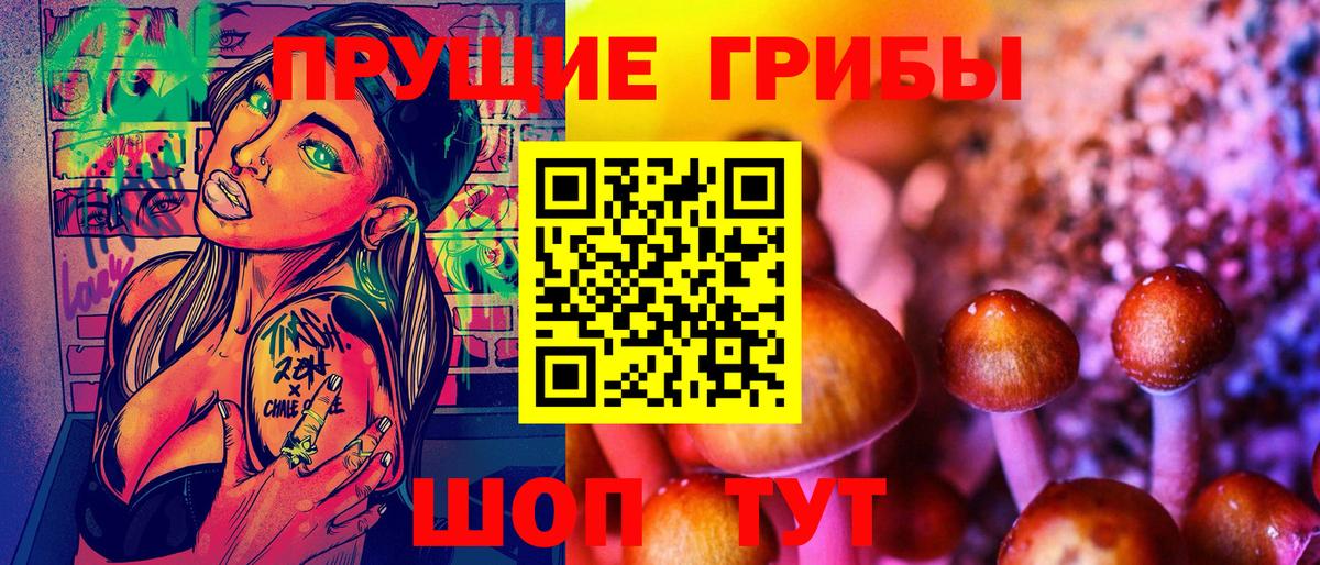 Елец  Галлюциногенные грибы Psilocybe  Вход с VPN 